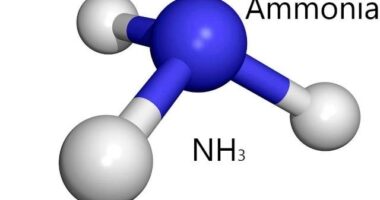 amonyak nedir