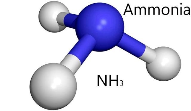 amonyak nedir